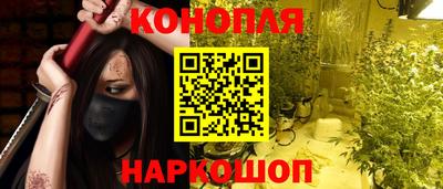сатива Кингисепп