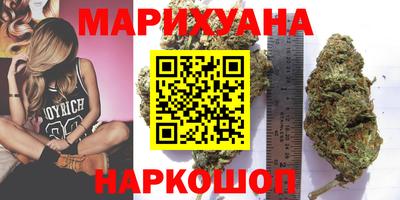 сатива Кингисепп