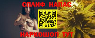 сатива Кингисепп