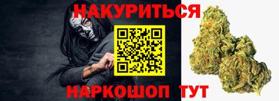 сатива Кингисепп
