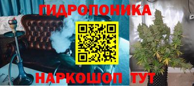 сатива Кингисепп