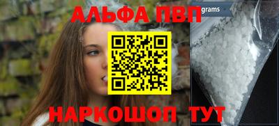 сатива Кингисепп