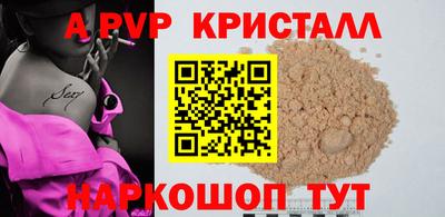 сатива Кингисепп