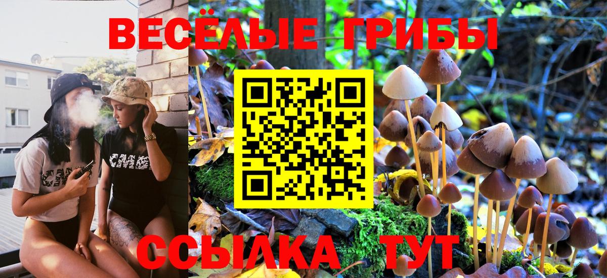 Галлюциногенные грибы Magic Shrooms Унеча