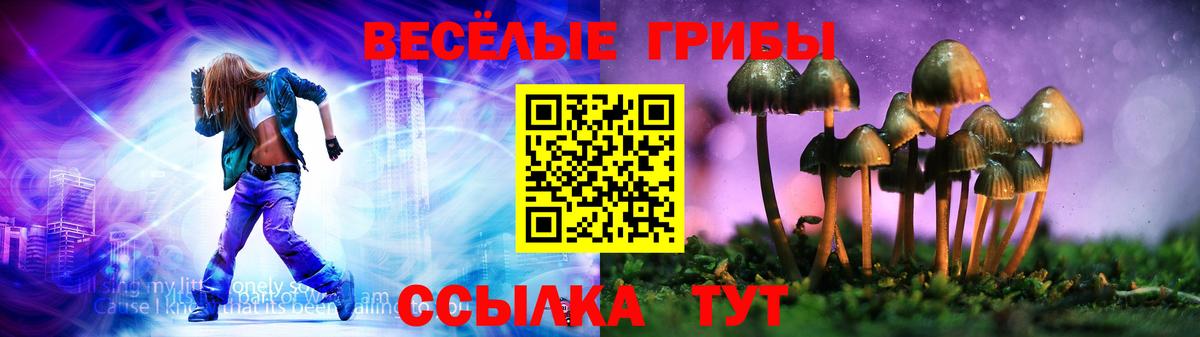 Унеча  Псилоцибиновые грибы Cubensis  Вход с VPN 